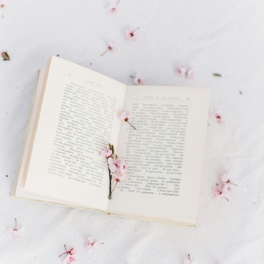Open book with pink petals on a white bed