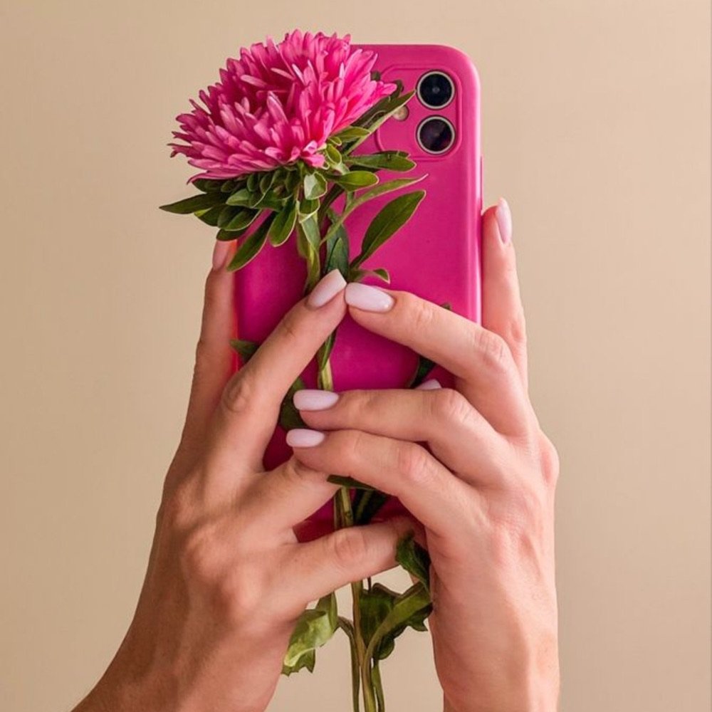 Hands holding a pink phone and a pink peony