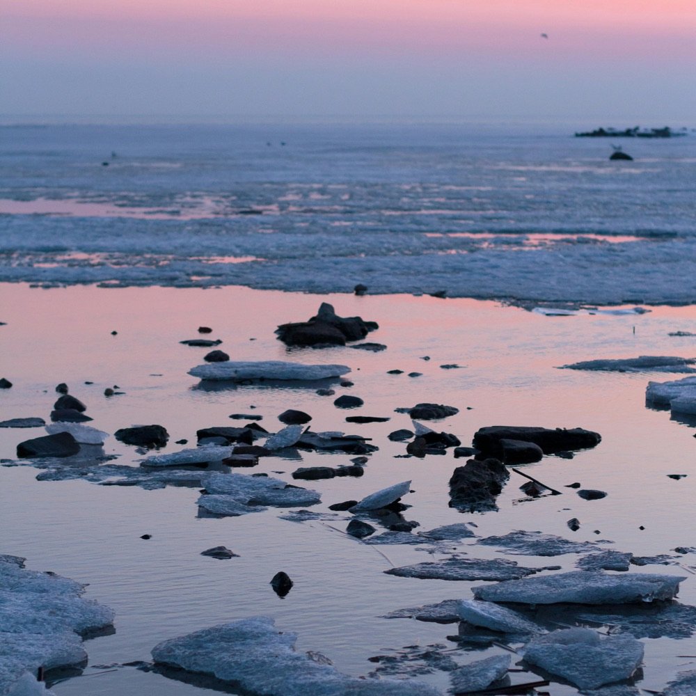 Icy sea at dusk under a pink sky