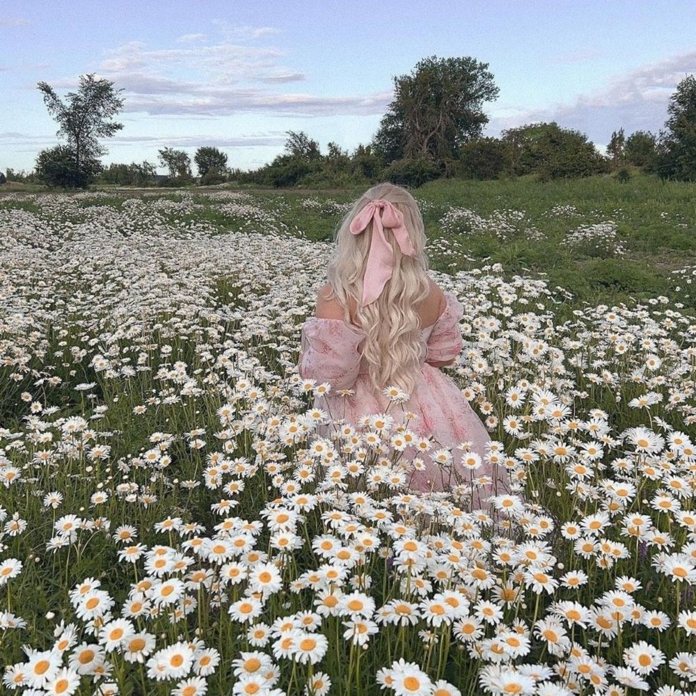 Girl in a pink dress in a field of daisies